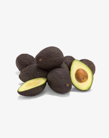 Osccaecati Primis Mad